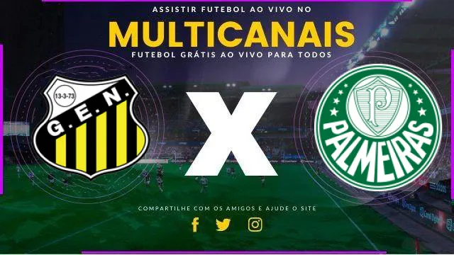 Assistir Novorizontino x Palmeiras ao vivo HD 03/11/2024