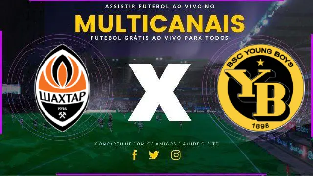 Assistir Shakhtar Donetsk x Young Boys ao vivo HD 06/11/2024